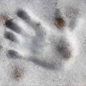 Meet your Posher, Apple